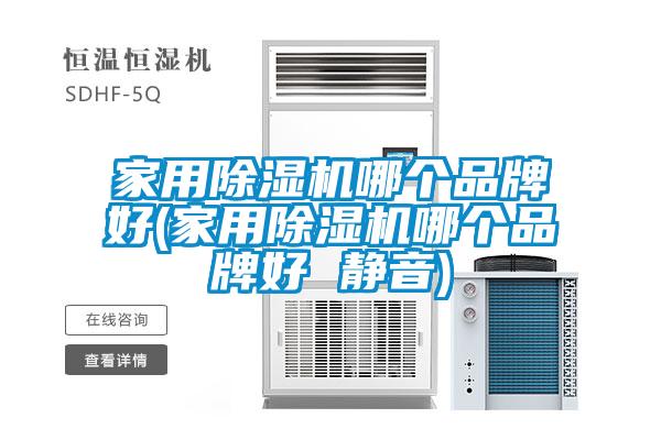 家用除濕機哪個品牌好(家用除濕機哪個品牌好 靜音)