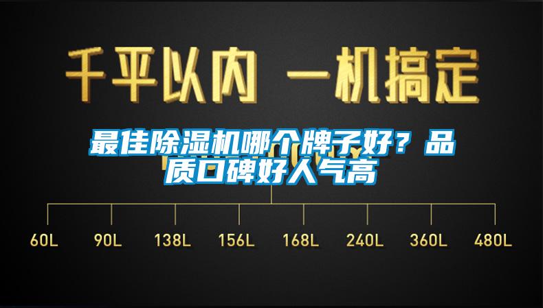 最佳除濕機哪個牌子好？品質口碑好人氣高