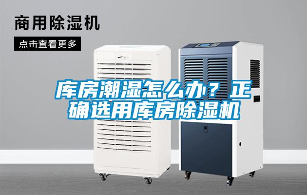 庫房潮濕怎么辦？正確選用庫房除濕機