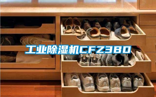 工業除濕機CFZ3BD