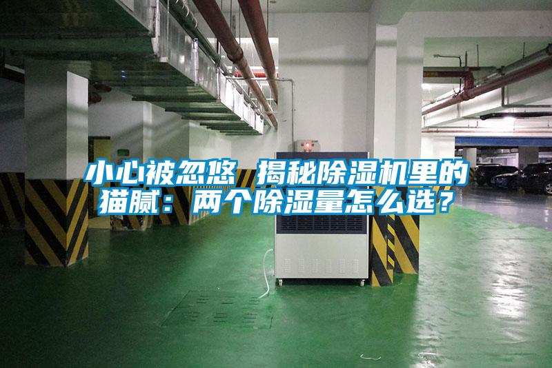 小心被忽悠 揭秘除濕機里的貓膩：兩個除濕量怎么選？