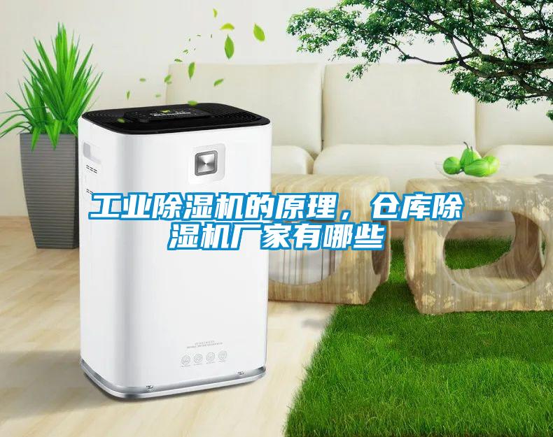工業除濕機的原理，倉庫除濕機廠家有哪些