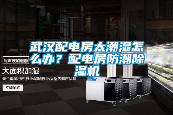 武漢配電房太潮濕怎么辦？配電房防潮除濕機