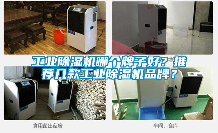工業除濕機哪個牌子好？推薦幾款工業除濕機品牌？
