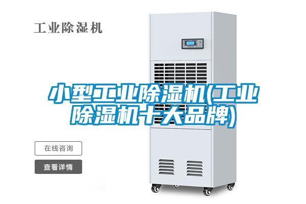 小型工業除濕機(工業除濕機十大品牌)