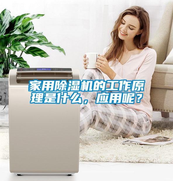 家用除濕機的工作原理是什么，應用呢？