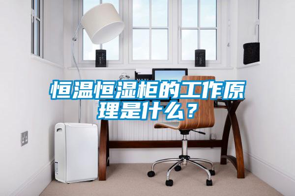 恒溫恒濕柜的工作原理是什么？