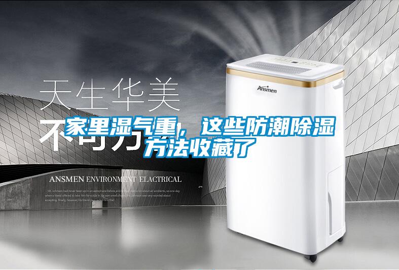 家里濕氣重，這些防潮除濕方法收藏了