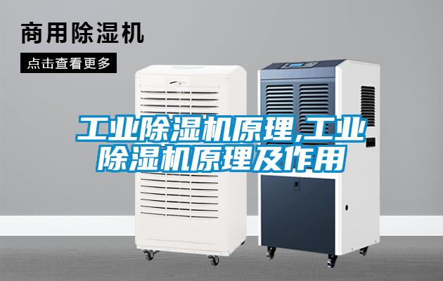 工業除濕機原理,工業除濕機原理及作用
