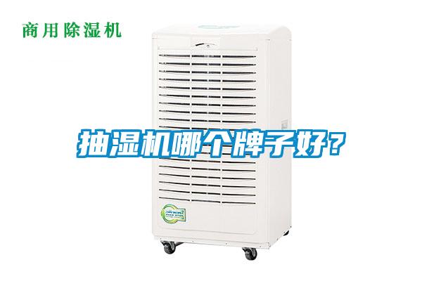抽濕機哪個牌子好？