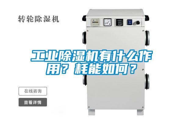 工業除濕機有什么作用？耗能如何？