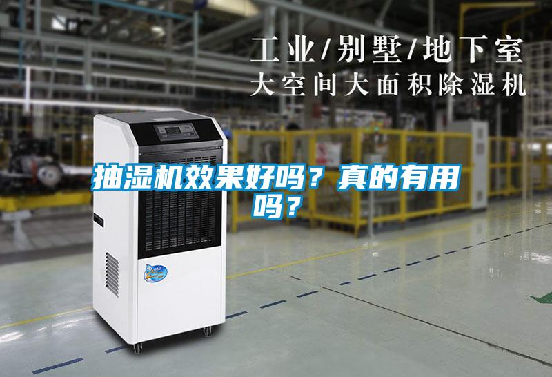 抽濕機效果好嗎？真的有用嗎？