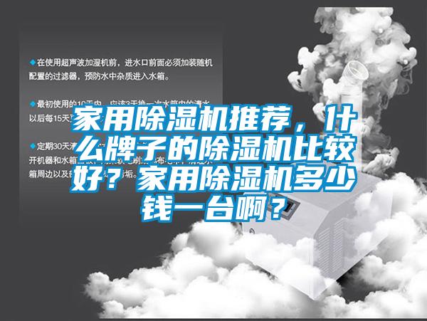 家用除濕機推薦，什么牌子的除濕機比較好？家用除濕機多少錢一臺??？
