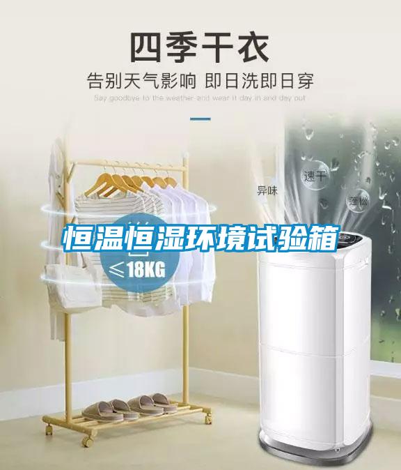 恒溫恒濕環境試驗箱