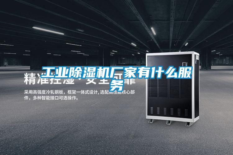 工業除濕機廠家有什么服務