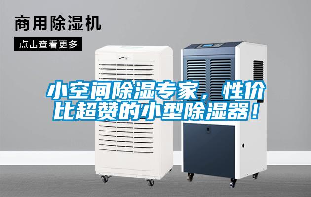 小空間除濕專家，性價比超贊的小型除濕器！