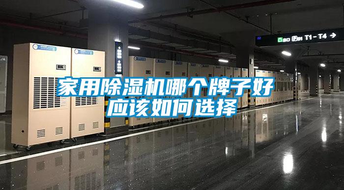 家用除濕機哪個牌子好 應該如何選擇