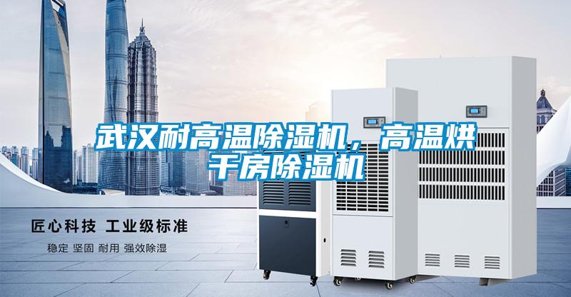 武漢耐高溫除濕機，高溫烘干房除濕機