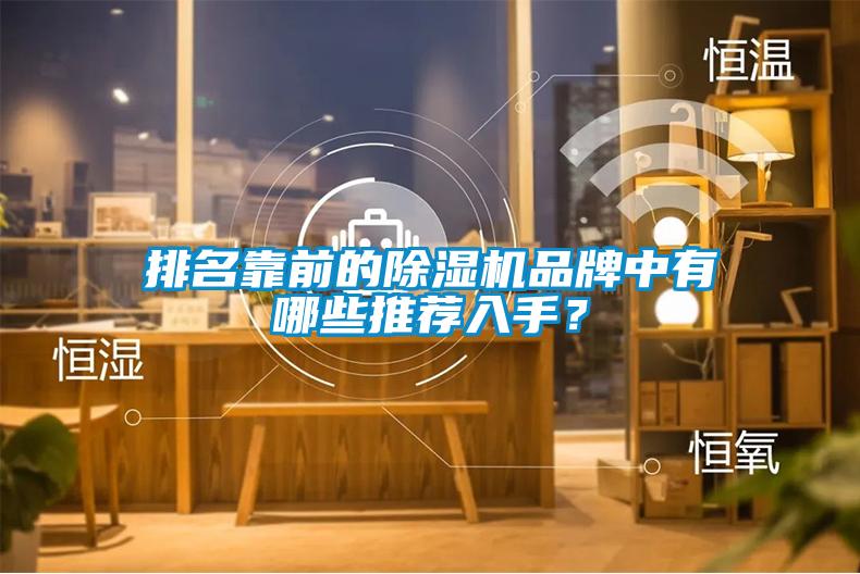 排名靠前的除濕機品牌中有哪些推薦入手？