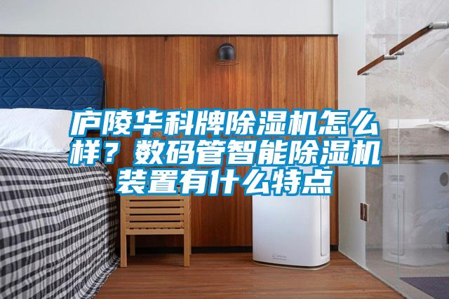 廬陵華科牌除濕機怎么樣？數碼管智能除濕機裝置有什么特點