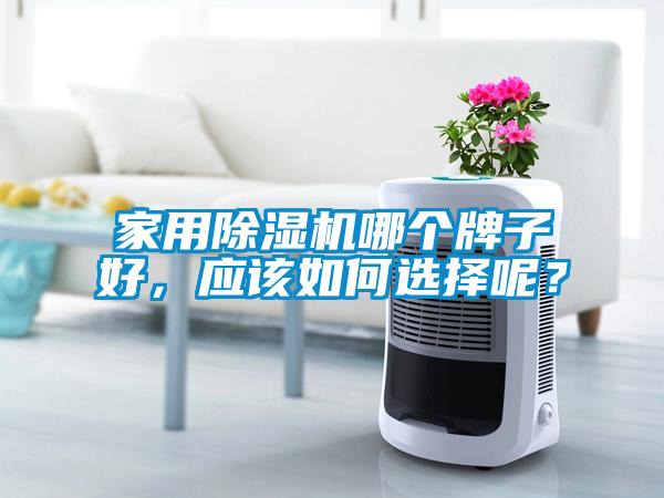 家用除濕機哪個牌子好，應該如何選擇呢？