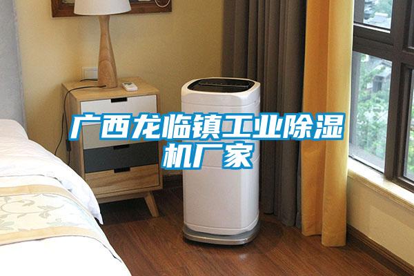 廣西龍臨鎮工業除濕機廠家