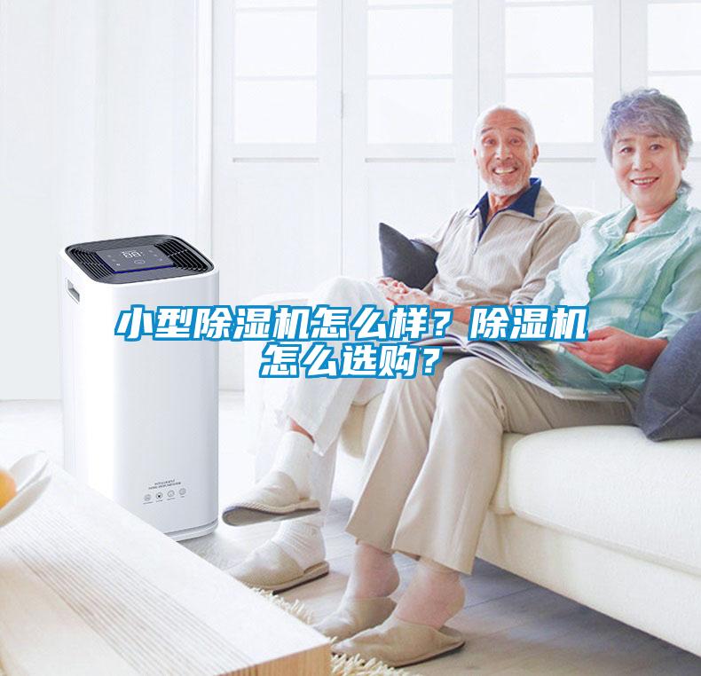 小型除濕機怎么樣？除濕機怎么選購？