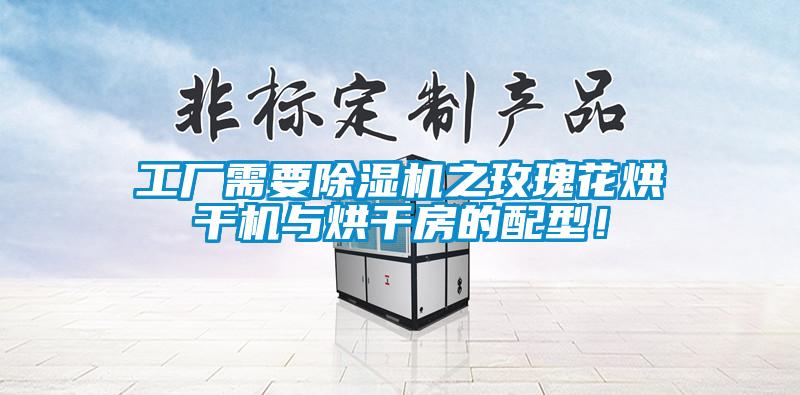 工廠需要除濕機之玫瑰花烘干機與烘干房的配型！