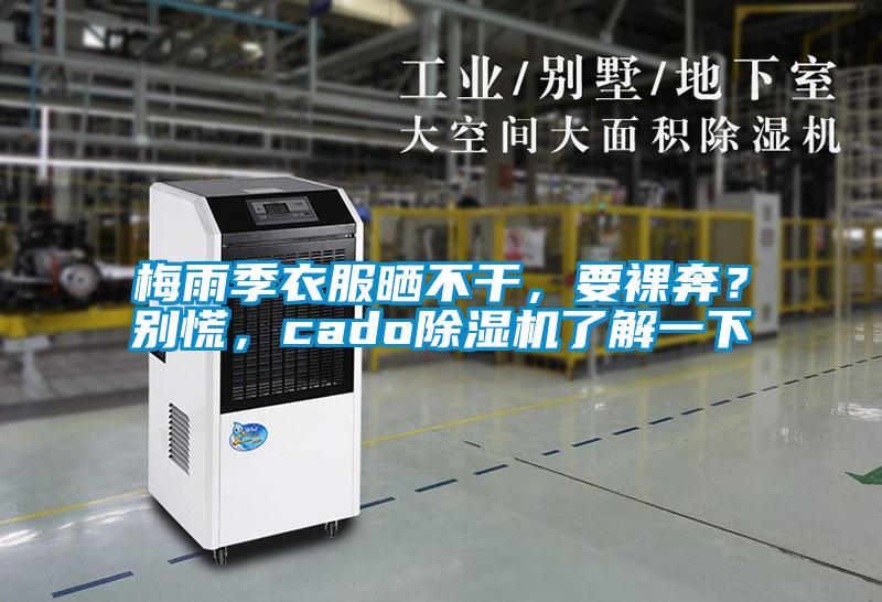梅雨季衣服曬不干，要裸奔？別慌，cado除濕機了解一下