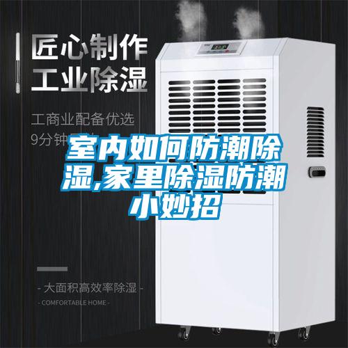室內如何防潮除濕,家里除濕防潮小妙招