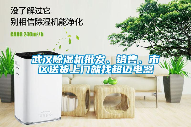 武漢除濕機批發、銷售、市區送貨上門就找超邁電器