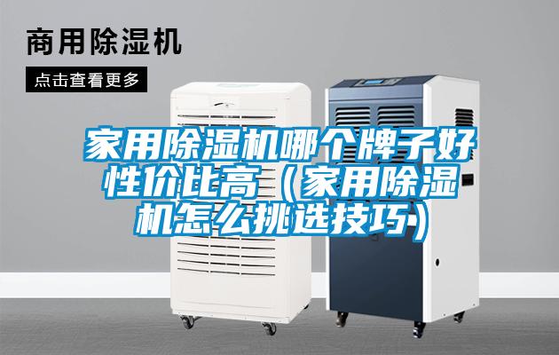 家用除濕機哪個牌子好性價比高（家用除濕機怎么挑選技巧）