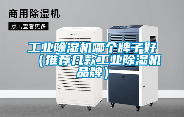 工業除濕機哪個牌子好（推薦幾款工業除濕機品牌）