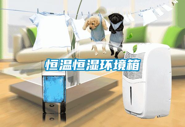 恒溫恒濕環境箱