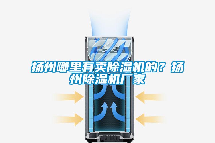 揚州哪里有賣除濕機的？揚州除濕機廠家