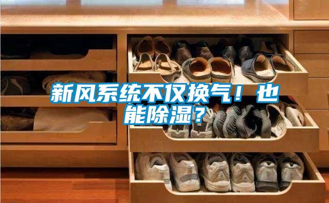 新風系統不僅換氣！也能除濕？