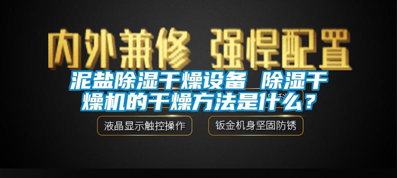 泥鹽除濕干燥設備 除濕干燥機的干燥方法是什么？