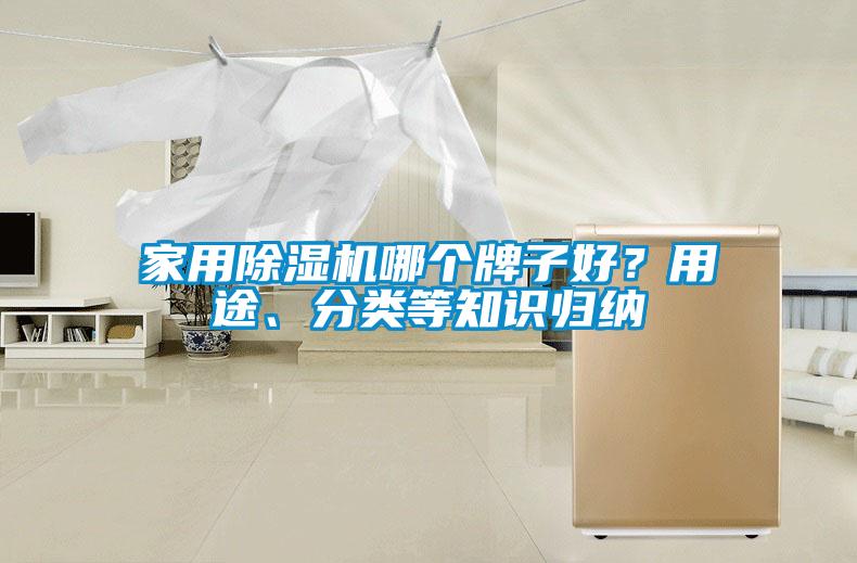 家用除濕機哪個牌子好？用途、分類等知識歸納