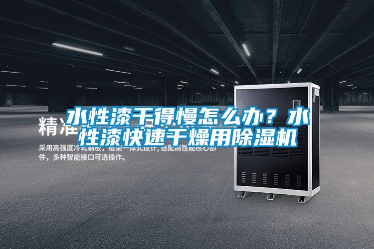 水性漆干得慢怎么辦？水性漆快速干燥用除濕機