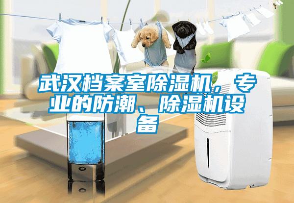 武漢檔案室除濕機，專業的防潮、除濕機設備