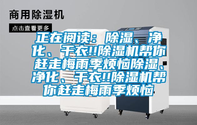 正在閱讀：除濕、凈化、干衣!!除濕機幫你趕走梅雨季煩惱除濕、凈化、干衣!!除濕機幫你趕走梅雨季煩惱