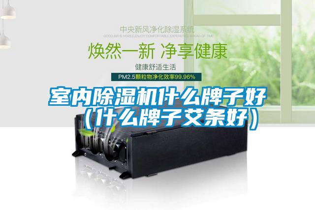 室內除濕機什么牌子好（什么牌子艾條好）