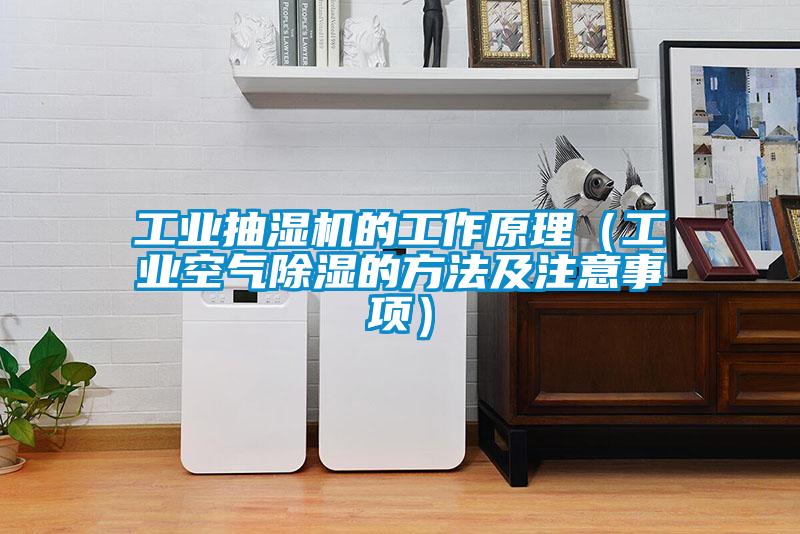 工業抽濕機的工作原理（工業空氣除濕的方法及注意事項）