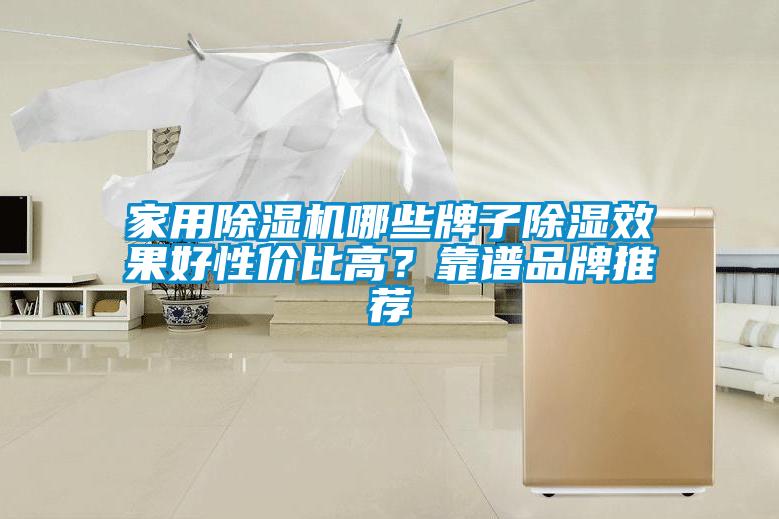 家用除濕機哪些牌子除濕效果好性價比高？靠譜品牌推薦