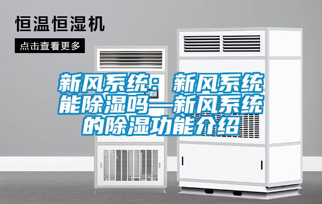 新風系統：新風系統能除濕嗎—新風系統的除濕功能介紹