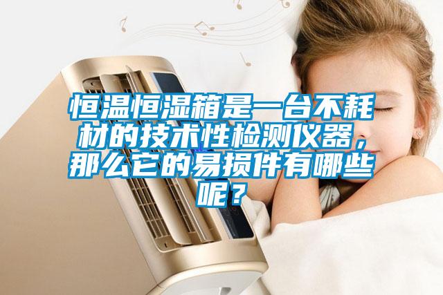 恒溫恒濕箱是一臺不耗材的技術性檢測儀器，那么它的易損件有哪些呢？