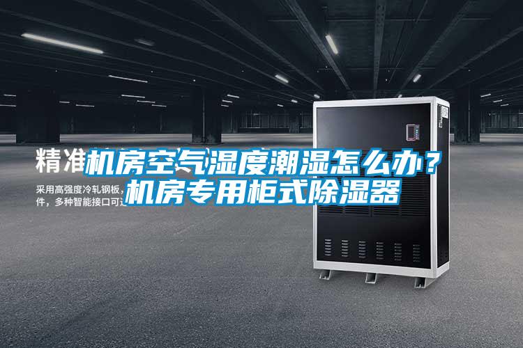 機房空氣濕度潮濕怎么辦？機房專用柜式除濕器