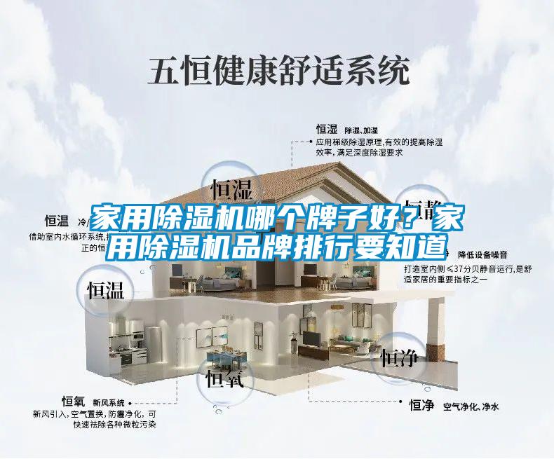 家用除濕機哪個牌子好？家用除濕機品牌排行要知道