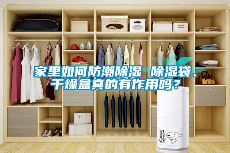 家里如何防潮除濕 除濕袋、干燥盒真的有作用嗎？