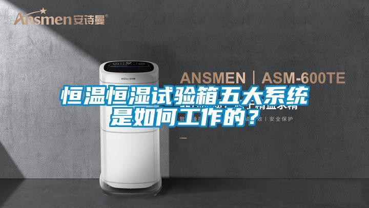 恒溫恒濕試驗箱五大系統是如何工作的？